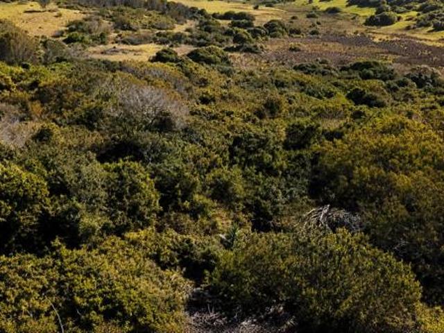 Property for sale in Bushmans River Mouth, Eastern Cape