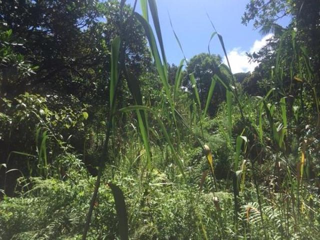 Property for sale in Ugu District Municipality, Kwazulu-natal