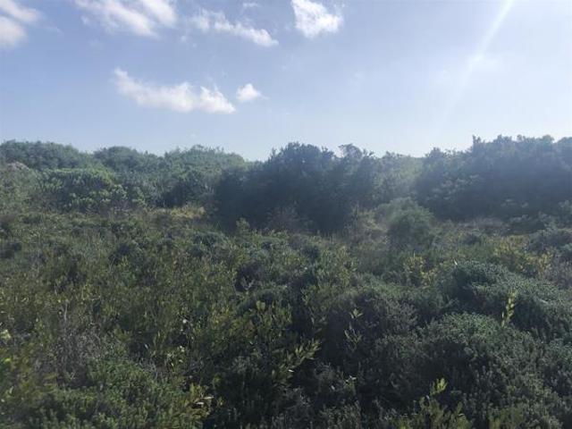 Property for sale in Cape St Francis, Eastern Cape