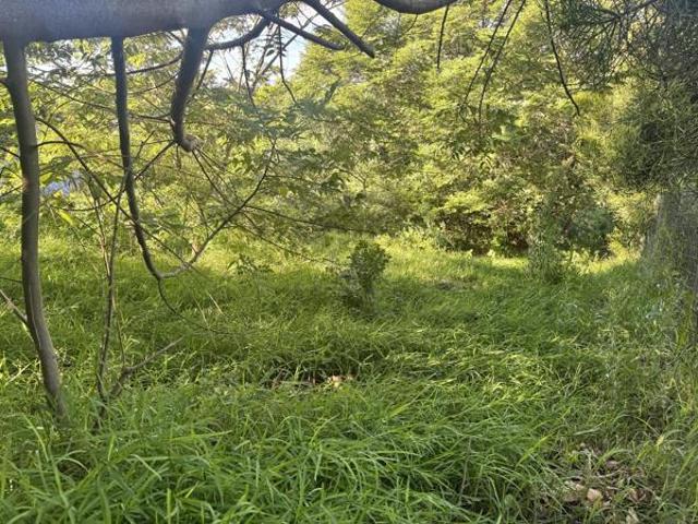 Property for sale in Mtunzini, Kwazulu-natal