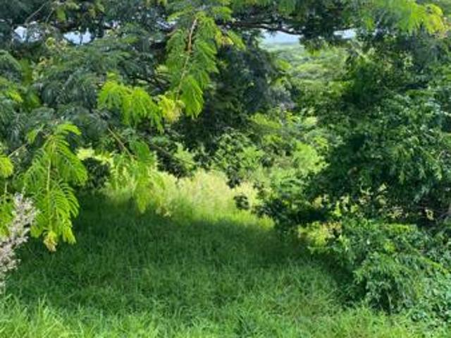 Property for sale in Mtunzini, Kwazulu-natal