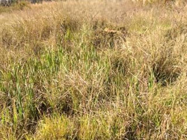 Property for sale in Witbank, Mpumalanga