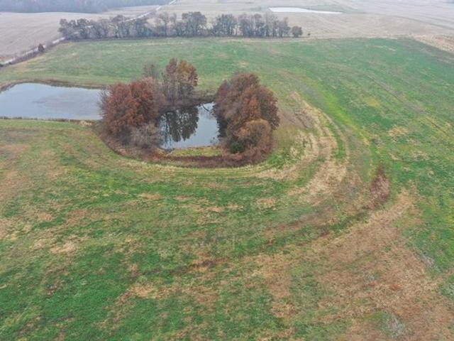 Farm for sale in Livonia, Missouri