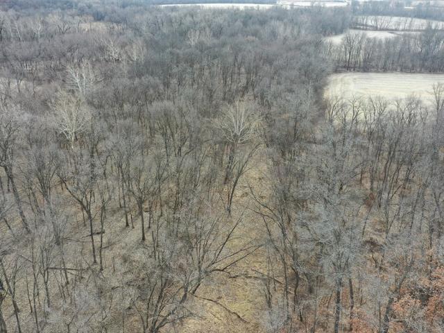Land for sale in Livonia, Missouri