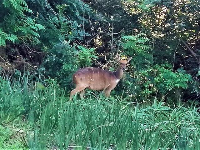 Property for sale in Ugu District Municipality, Kwazulu-natal