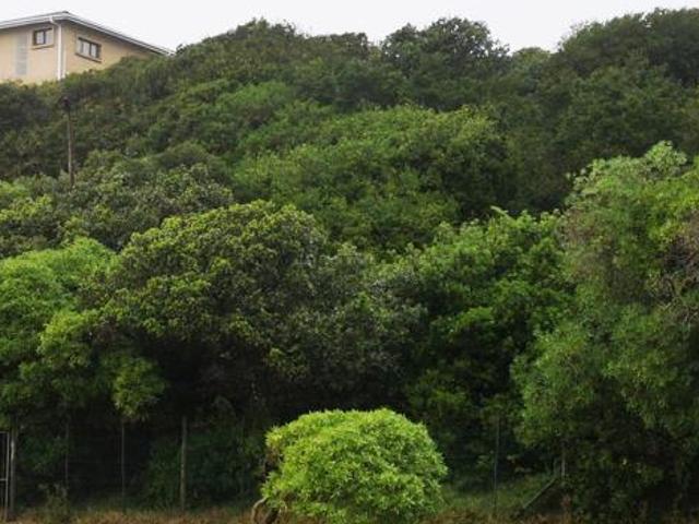 Property for sale in Cape St Francis, Eastern Cape