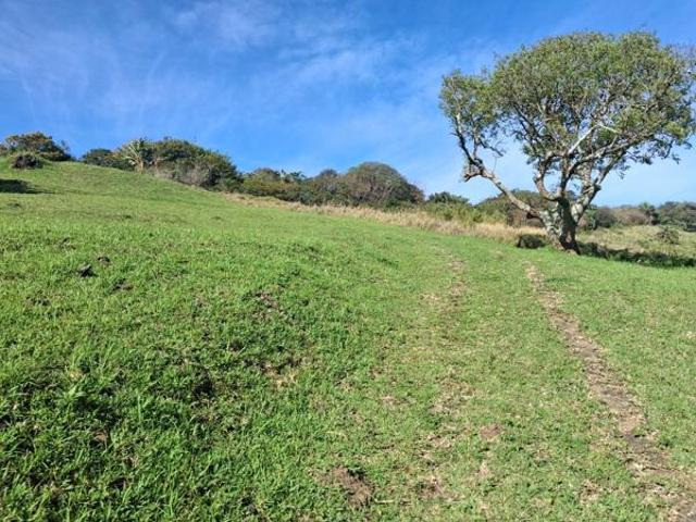 Property for sale in Elysium, uMdoni Local Municipality