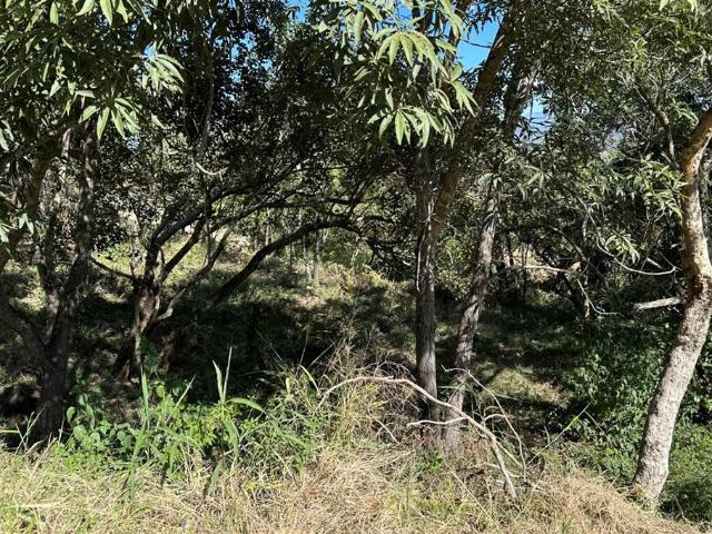Property for sale in Ehlanzeni, Mpumalanga