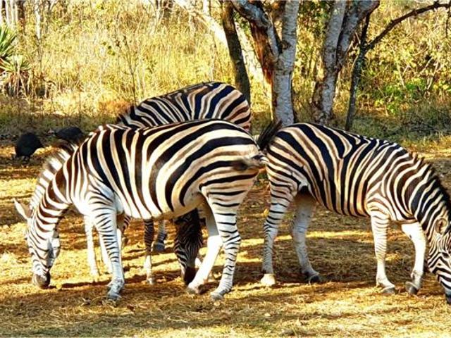 Property for sale in Mpumalanga