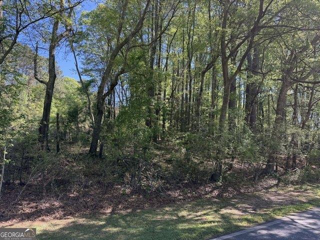 Land for sale in Concord, Georgia