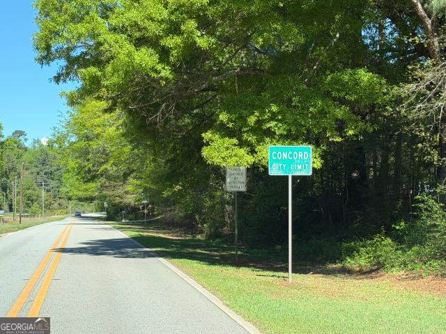 Land for sale in Concord, Georgia