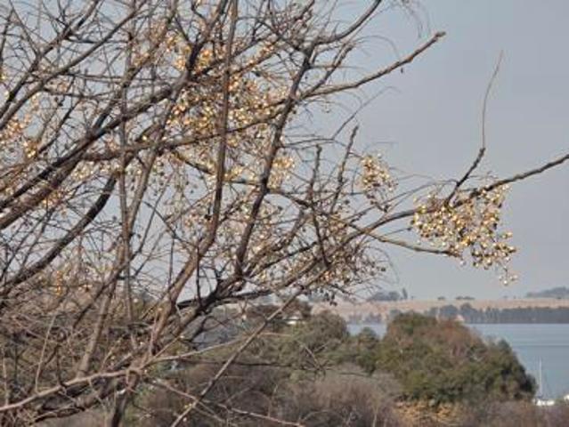 Property for sale in Gauteng