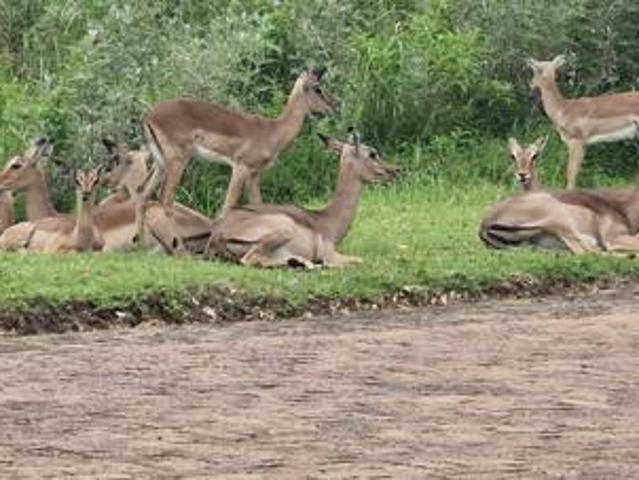 Property for sale in Ugu District Municipality, Kwazulu-natal