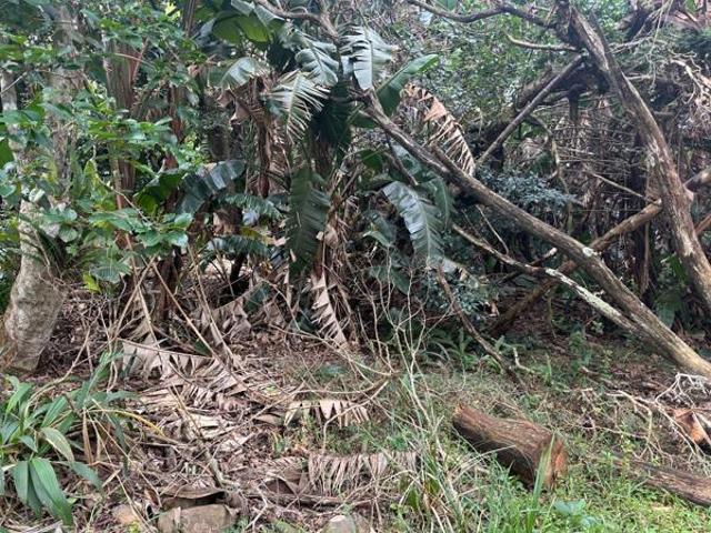 Property for sale in Ugu District Municipality, Kwazulu-natal