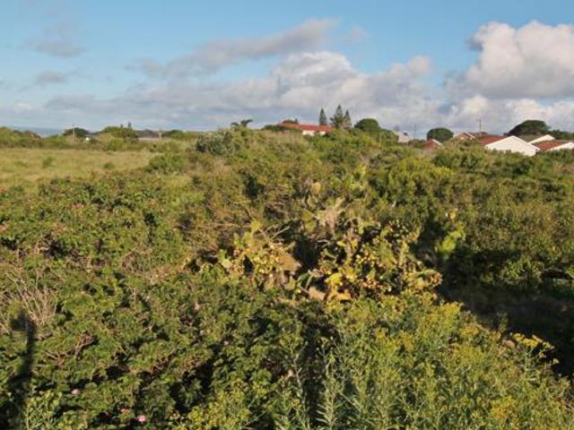 Property for sale in Bushmans River Mouth, Eastern Cape