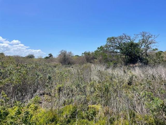 Property for sale in Bushmans River Mouth, Eastern Cape