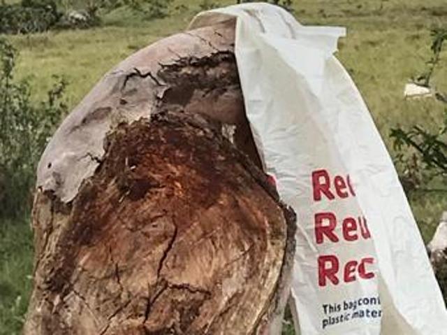 Property for sale in Bushmans River Mouth, Eastern Cape