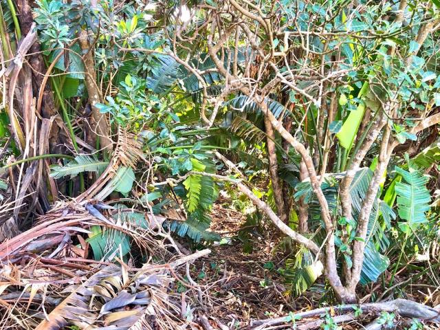 Property for sale in Port Edward, Hibiscus Coast Local Municipality