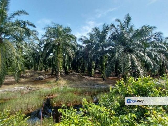 Shop for sale in Kuala Selangor, Selangor