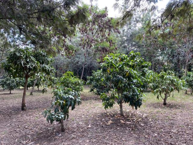 Land for sale in Juja