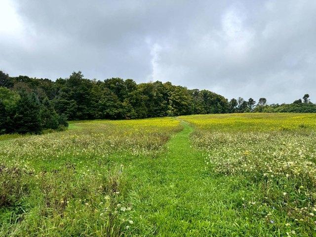 Land for sale in Richford, New York