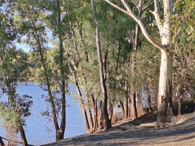 Farm for sale in Koppies, Free State