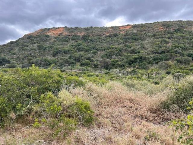Land for sale in Eastern Cape