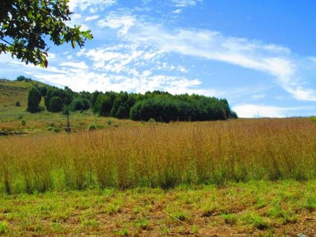 Land for sale in Dullstroom, Mpumalanga