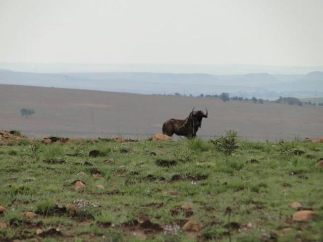 Land for sale in eMalahleni, Emalahleni Local Municipality
