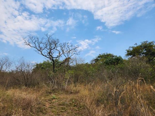 Land for sale in Ehlanzeni, Mpumalanga