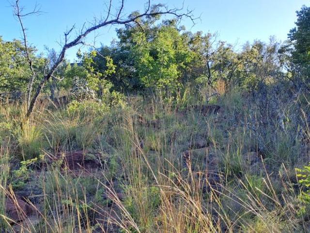Land for sale in Limpopo