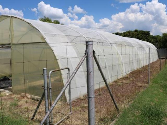 Land for sale in Oranjeville, Free State