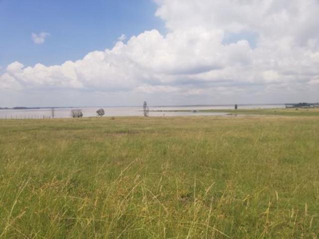 Land for sale in Oranjeville, Free State