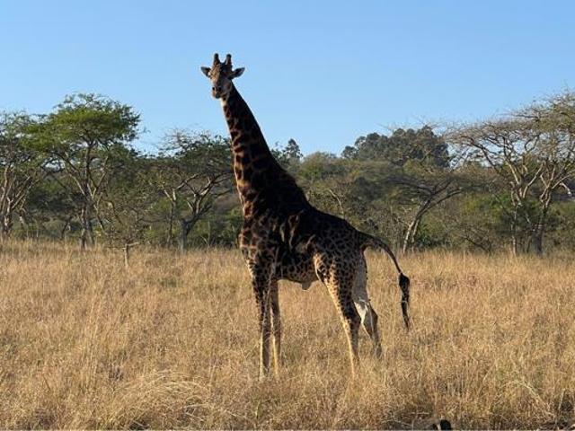 Land for sale in Ehlanzeni, Mpumalanga
