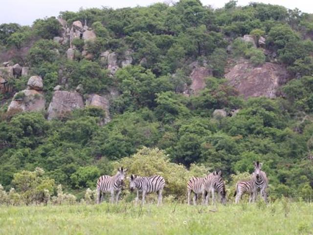 Land for sale in Ehlanzeni, Mpumalanga