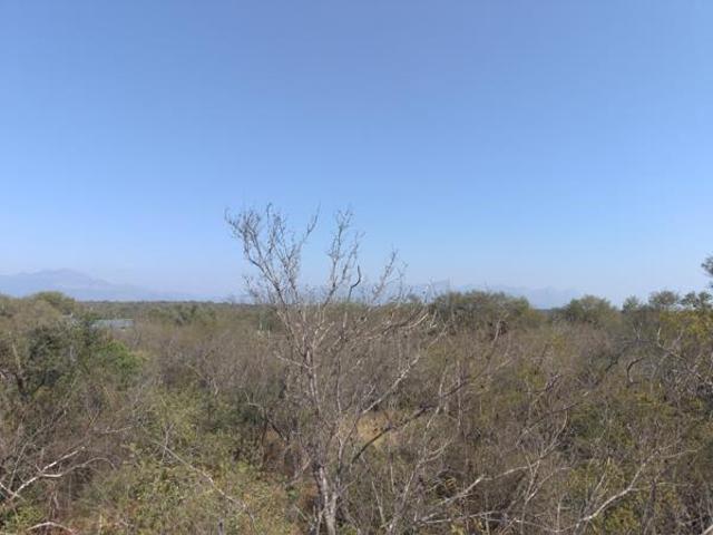 Land for sale in Mopani, Limpopo
