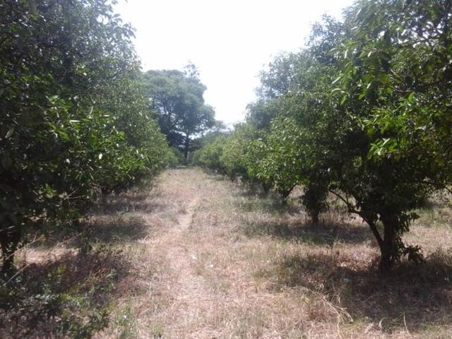 Property for sale in Limpopo