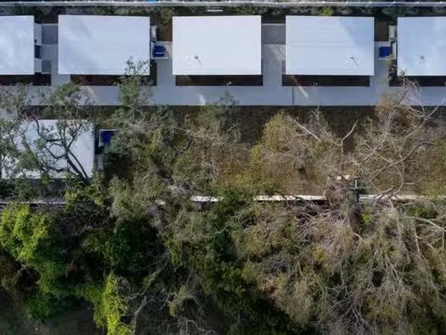 Condo for rent in Tampa