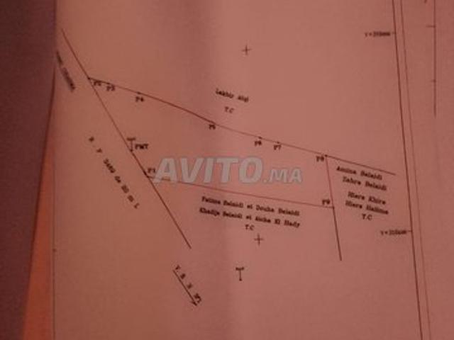 Propriété vente à El Ma, Gharb-Chrarda-Beni Hssen