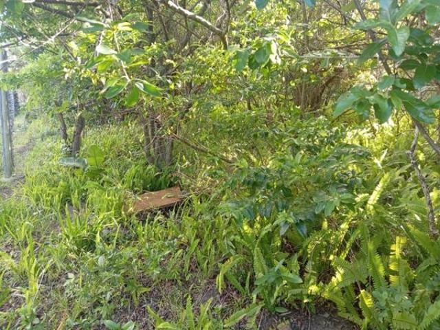 Property for sale in Elysium, uMdoni Local Municipality
