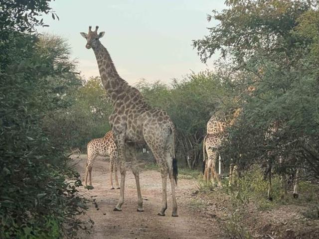 Property for sale in Ehlanzeni, Mpumalanga