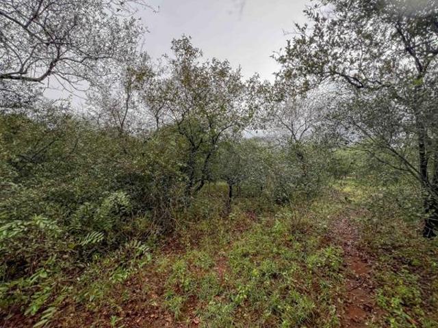 Property for sale in Ehlanzeni, Mpumalanga