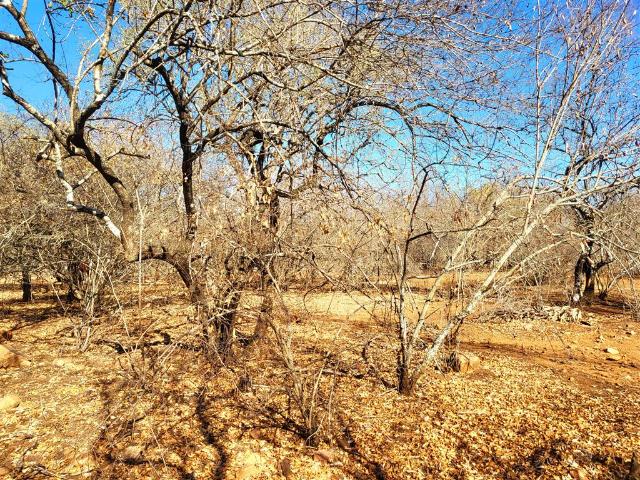 Property for sale in Ehlanzeni, Mpumalanga