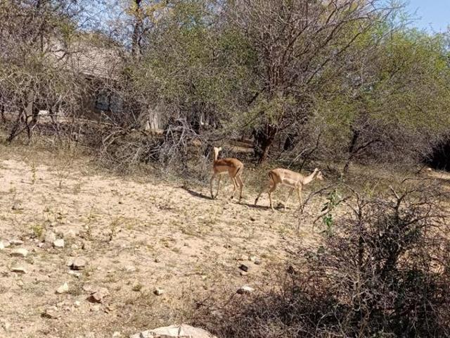 Property for sale in Ehlanzeni, Mpumalanga