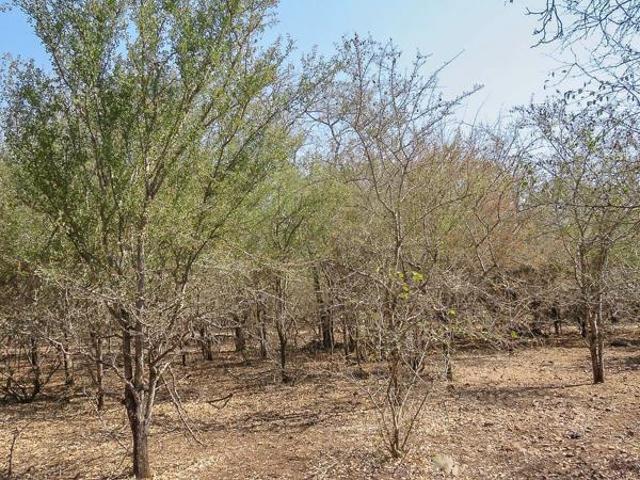 Property for sale in Ehlanzeni, Mpumalanga
