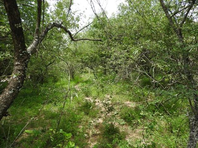 Property for sale in Ehlanzeni, Mpumalanga