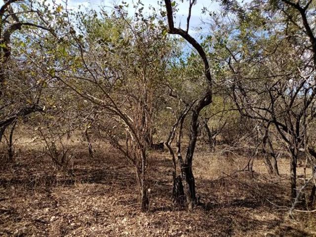 Property for sale in Ehlanzeni, Mpumalanga