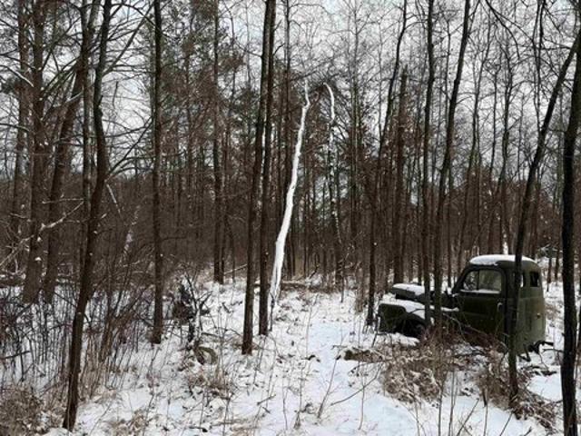 Land for sale in Juneau, Wisconsin