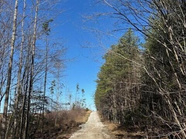 Land for sale in Tennessee
