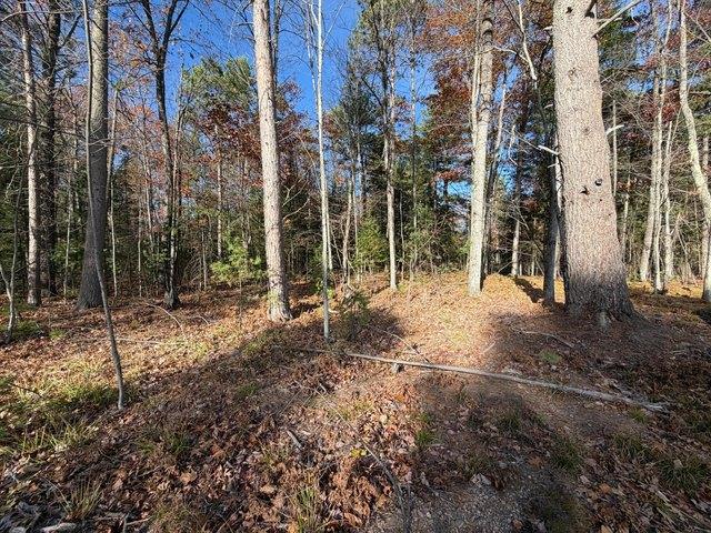 Land for sale in Eagle River, Vilas County